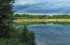 Opole-Brzezie, Staw Śródlesie