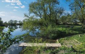Opole-Borki, przystań kajakowa Opole-Borki, przystań kajakowa