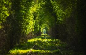 Fot. Paweł Uchorczak