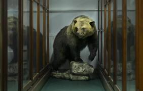 11 Opolski Festiwal Fotografii 11 Opolski Festiwal Fotografii