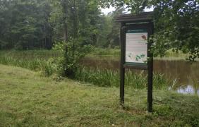 Nadleśnictwo Opole Nadleśnictwo Opole