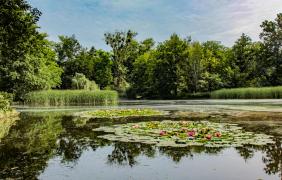 fot. Anna Parkitna Wyspa Bolko