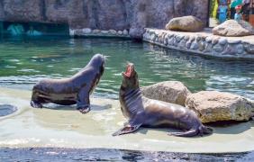 fot. Anna Parkitna Uchatki