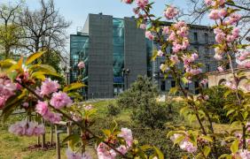 fot. A. Parkitna MBP