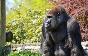 fot. Anna Parkitna Goryl