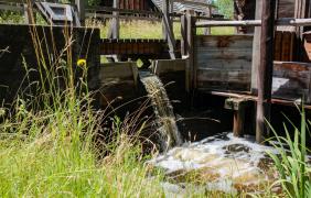 fot. Anna Parkitna Muzeum Wsi Opolskiej