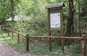 Nadleśnictwo Opole Nadleśnictwo Opole