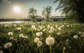 Park Nadodrzański Park Nadodrzański