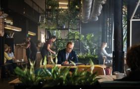 Serial Szadź Serial Szadź