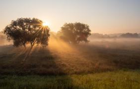 Fot. Adam Szopa Fot. Adam Szopa