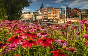 Fot. Paweł Uchorczak Fot. Paweł Uchorczak