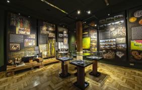 Muzeum Śląska Opolskiego Muzeum Śląska Opolskiego