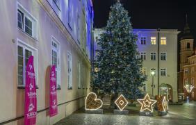 iluminacja świąteczna