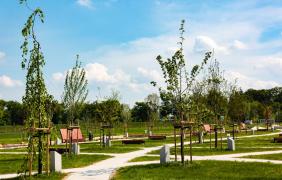 Park 800-lecia Park 800-lecia