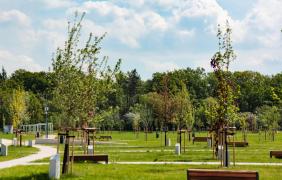 Park 800-lecia Park 800-lecia