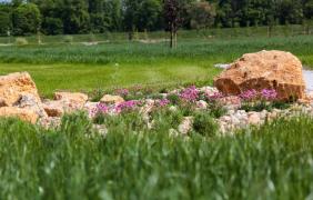 Park 800-lecia Park 800-lecia