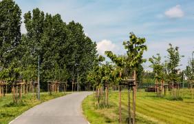 Park 800-lecia Park 800-lecia