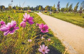 Park 800-lecia Park 800-lecia