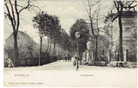 Ludwigstrasse (obecnie ul. Powstańców Śląskich) – willowa ulica na Wyspie Pasieka Ludwigstrasse (obecnie ul. Powstańców Śląskich) – willowa ulica na Wyspie Pasieka