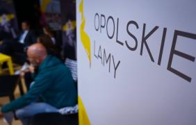 17. Festiwal Filmowy Opolskie Lamy