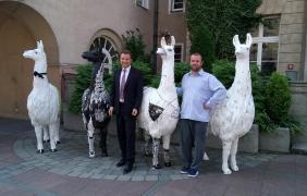 17. Festiwal Filmowy Opolskie Lamy