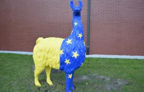 17. Festiwal Filmowy Opolskie Lamy