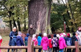 Nadleśnictwo Opole Nadleśnictwo Opole