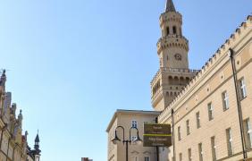 fot. A. Parkitna/ UM Opole