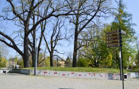 fot. A. Parkitna/ UM Opole