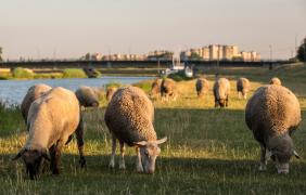 fot. J. Małkowski O mieście