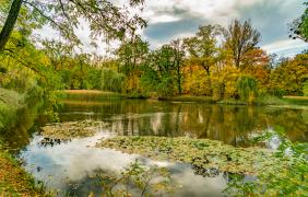 fot. J. Małkowski Wyspa Bolko