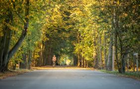fot. P. Szpala Wyspa Bolko