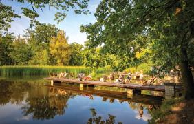 fot. P. Uchorczak Wyspa Bolko