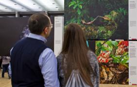 fot. arch. GSW World Press Photo