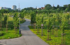 Park 800-lecia Opola