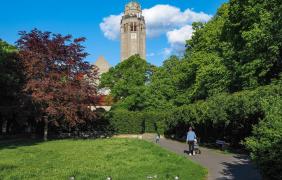 Park im. Mickiewicza