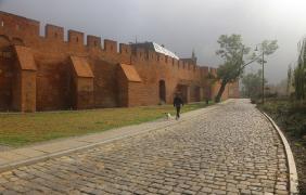 Jerzy Stemplewski (Mury obronne)