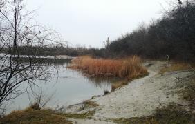 Rewitalizacja Kamionki Piast