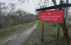 Rewitalizacja Kamionki Piast