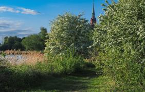 Ścieżka przyrodnicza w Nowej Wsi Królewskiej
