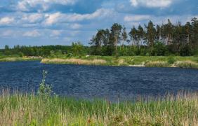 Opole, stawy w Groszowicach