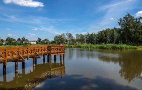 Chróścina Opolska, staw w Parku Dworskim