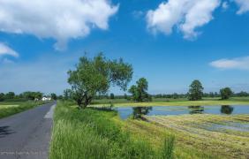 fot. Przemysław Supernak, SuperGlob