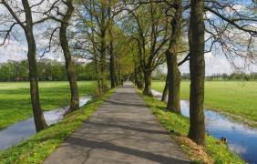 fot. Przemysław Supernak, SuperGlob