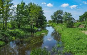 fot. Przemysław Supernak, SuperGlob