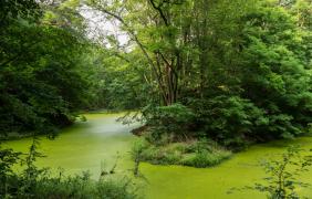 fot. Przemysław Supernak, SuperGlob
