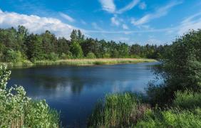 Opole, stawy w Groszowicach
