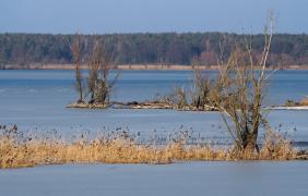 Jezioro Turawskie zimą – okolice Szczedrzyka fot. Przemysław Supernak, SuperGlob