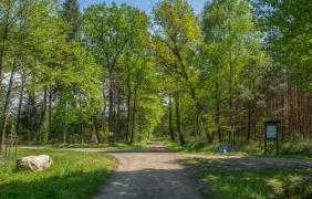 fot. Przemysław Supernak, SuperGlob