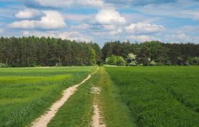 fot. Przemysław Supernak, SuperGlob